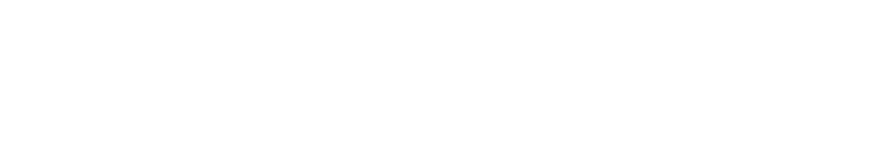 Quantum 810